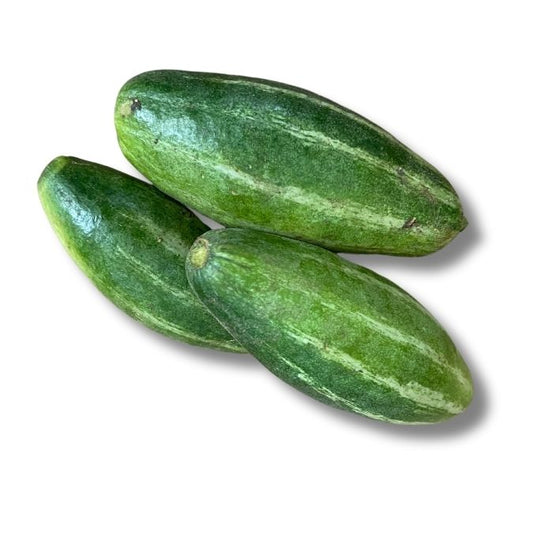 Pointed Gourd