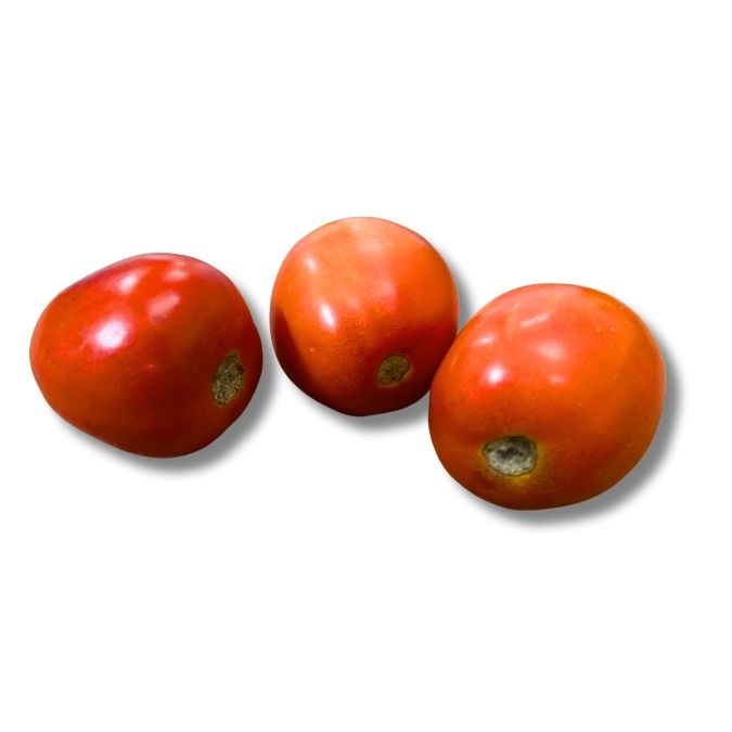 Tomato