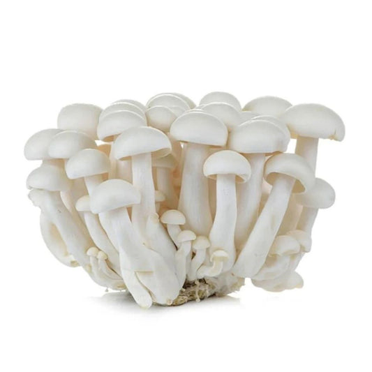 Shimeji Mushroom (125gm)