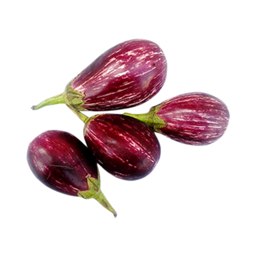 Brinjal Small