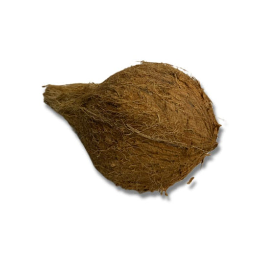 Coconut